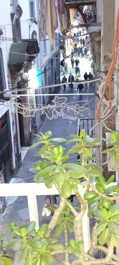 Casa San Biagio 1964 Spaccanapoli Lejlighed Eksteriør billede